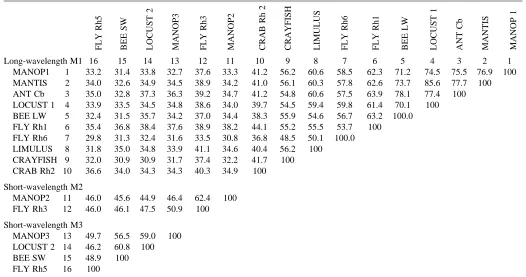 Table 2. Percentage residue identities among amino acid sequences of selected arthropod opsins