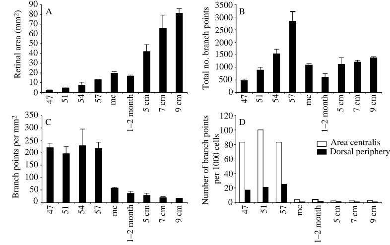 Fig. 2. Changes in retinal area (A)showed signiﬁcant increases from