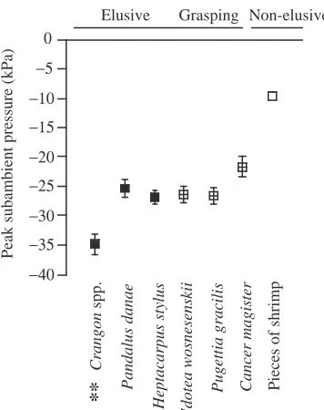 Fig. 2. The duration of the expansive phase(mean ± 1 the other two shrimp species in the elusiveANOVA summary statistics