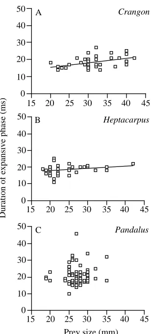 Table 5. Mean values of three buccal pressure variables and prey size, for successful and unsuccessful strikes at four preyspecies