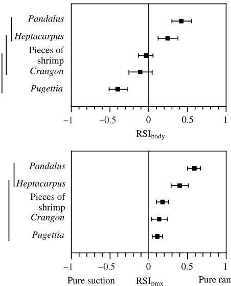 Fig. 4. Ram-suction indices (mean ± 1 Spoint on the predator. Vertical lines connect species whose means werenot signiﬁcantly different (means (Tukey–Kramer test)