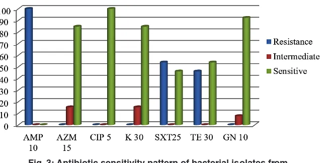 Fig. 2: Antibiotic resistance profile of the most abundant bacteria isolated from ready - to - eat food