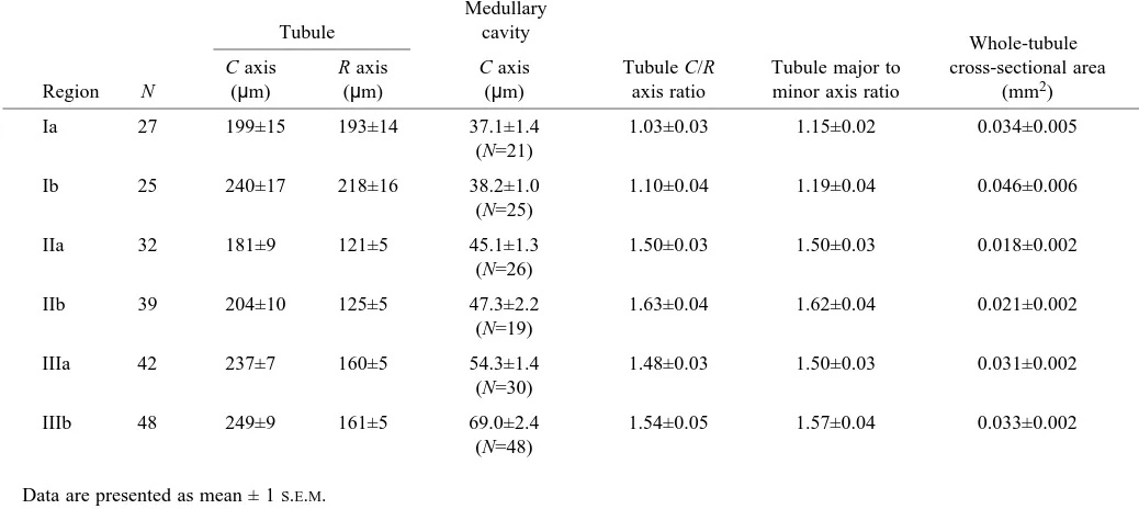Table 2. Average number of tubule cortical lamellae fromsamples from the six regions of the equine hoof wall deﬁnedin this study 