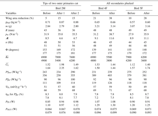 Table 3. Artiﬁcial wing area reduction on three ruby-throated hummingbirds during moult and the effects on morphological,kinematic, mechanical and metabolic variables