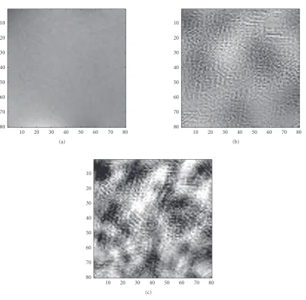 Figure 6: Bias error image for P = 30: (a) Joint MAP SR-NUC bias error image; (b) MAP NUC bias error image; (c) registration-basedNUC bias error image.