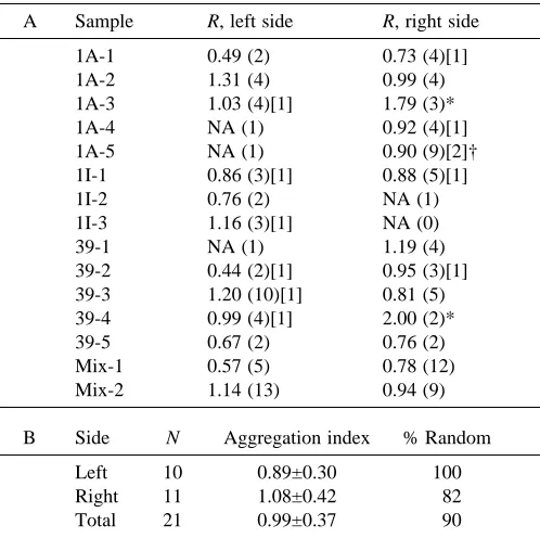 Fig. 2. Numerical distribution of positively hybridizing neurons perepithelium. Epithelia were from the 13 individuals hybridized withsingle probes and analyzed in this study