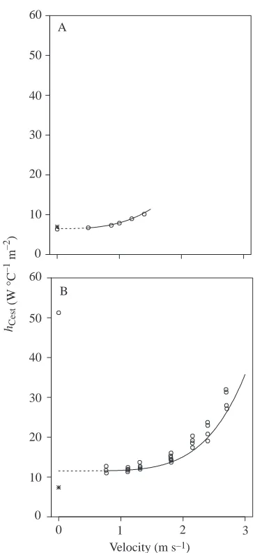 Fig. 2. Calculated values of the heat transfer coefficient away fromthe core (hCest) for two swimming homeotherms: (A) common seal 1,(B) sea lion 2
