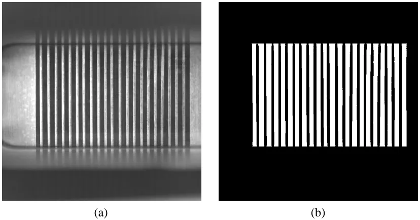 Figure 4.7 - Masking operation: (a) original image containing region of interest, (b) 