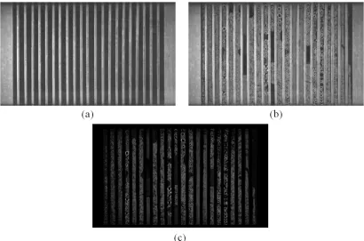 Figure 4.9 - Sample images from cathode window #1: (a) dry video frame, (b) test video 