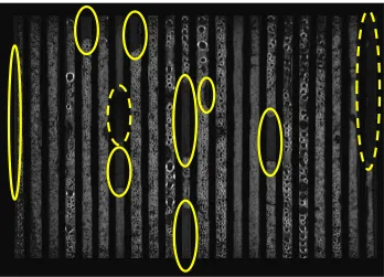 Figure 4.10 - Difference image from Figure 4.9(c) with different intensity regions 