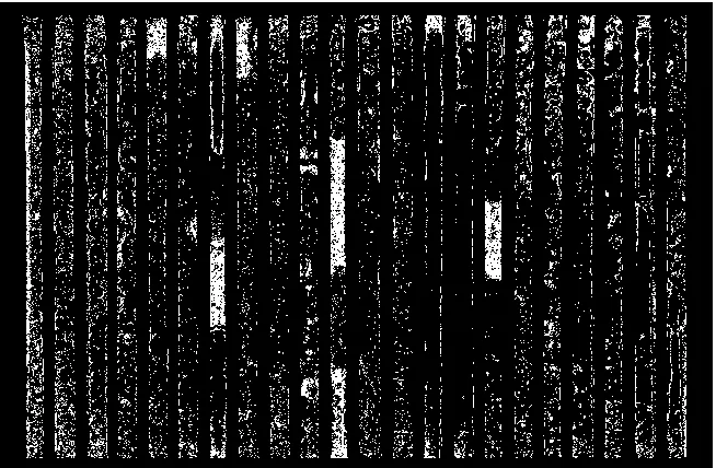 Figure 4.11 - Thresholded difference image. The locations with liquid water possess 