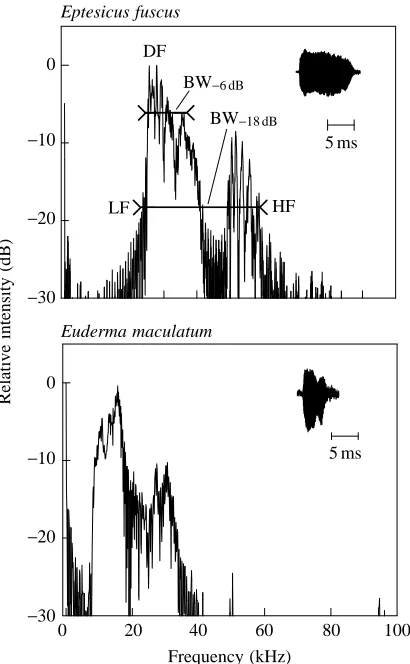 Fig. 5. Predicted maximum detection distances for the two species ofbat recorded for all of the moths whose audiograms were derived (Fig.1)