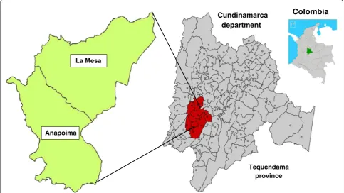 Figure 1 Study sites. Location of the two study municipalities La Mesa and Anapoima in Tequendama province, Cundinamarca department,Colombia.