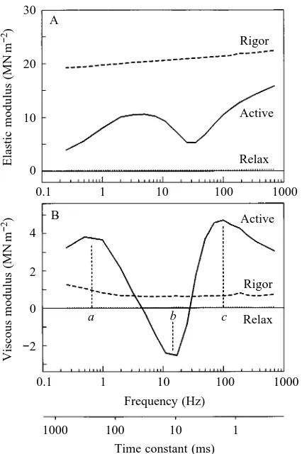 Fig. 1. The elastic modulus (A) and viscous modulus (B) plottedagainst frequency (in Hz) on a logarithmic scale