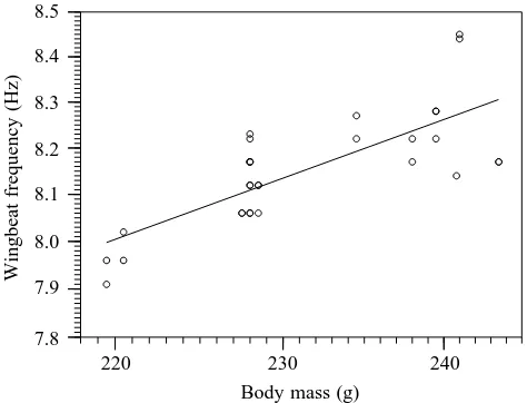 Fig. 2. Double-logarithmic plot of wingbeat frequency during sixhorizontal ﬂights at an equivalent air speed of 13.1m sversus0.364±0.0587 (−1 by the teal body mass