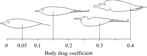 Fig. 8. Suggested values for the body drag coefficient Ccomputer programs such as those of Pennycuick (1989) forcalculating ﬂight performance