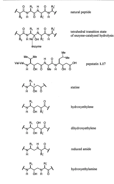 Figure 1.6: Hydrolytically stable dipeptide isosteres. 