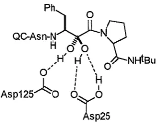 Figure 2.3: Proposed hydrated a-ketoamide in the active site. 
