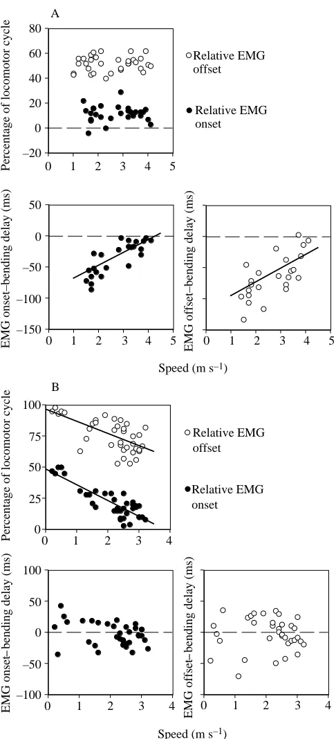 Fig. 7. Graphs of relative EMG onset and offset, onset–bending delayand offset–bending delay as a function of speed