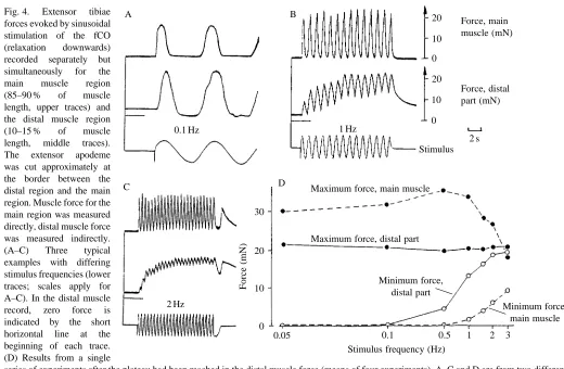 Fig. 4. forces evoked by sinusoidal
