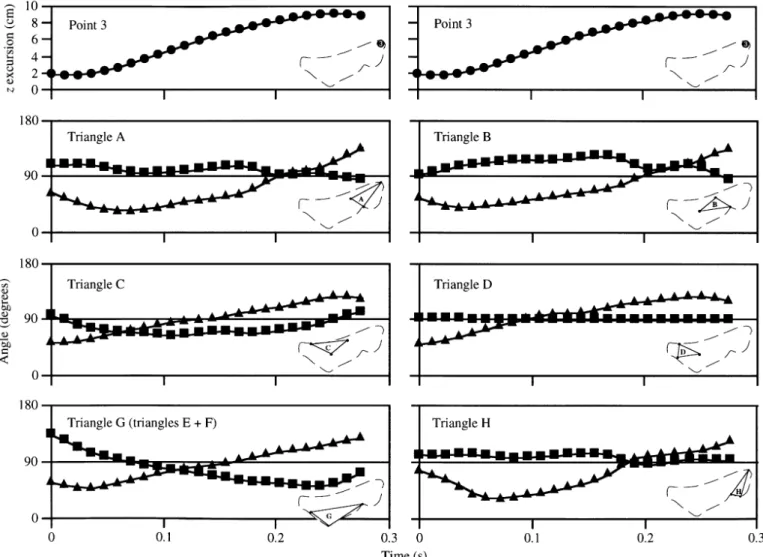 Fig. 9 shows the pattern observed when the movement vectors produced by each triangle are summed over the entire tail and re-scaled to a percentage of the maximum magnitude produced during that beat