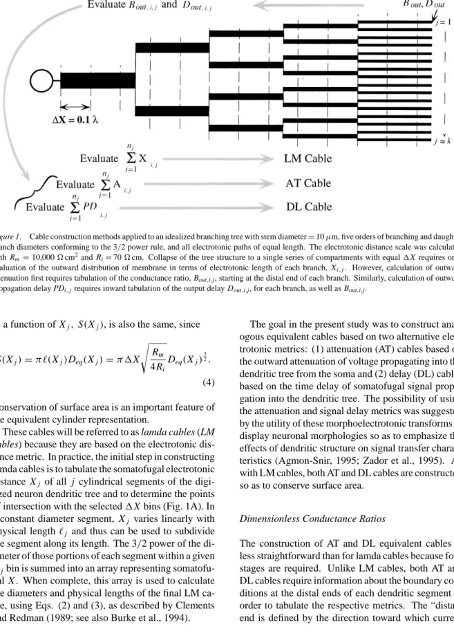 Figure 1. Cable construction methods applied to an idealized branching tree with stem diameter = 10 µm, five orders of branching and daughter branch diameters conforming to the 3 /2 power rule, and all electrotonic paths of equal length