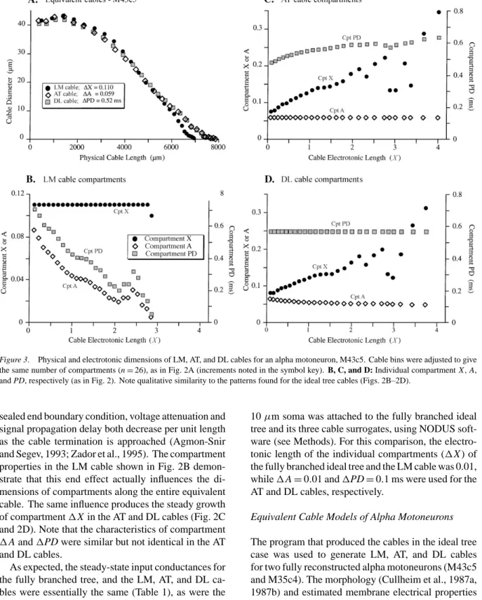 Figure 3. Physical and electrotonic dimensions of LM, AT, and DL cables for an alpha motoneuron, M43c5