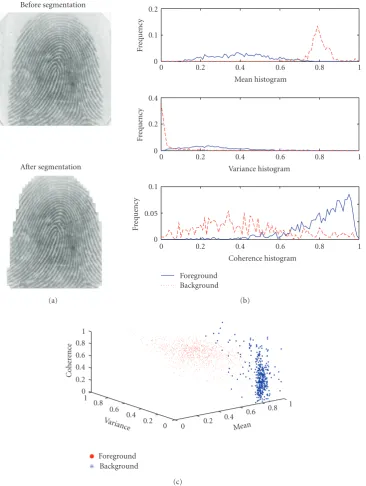 Figure 2: CMV histograms and distribution of FVC2000 DB1 81 3.tif.