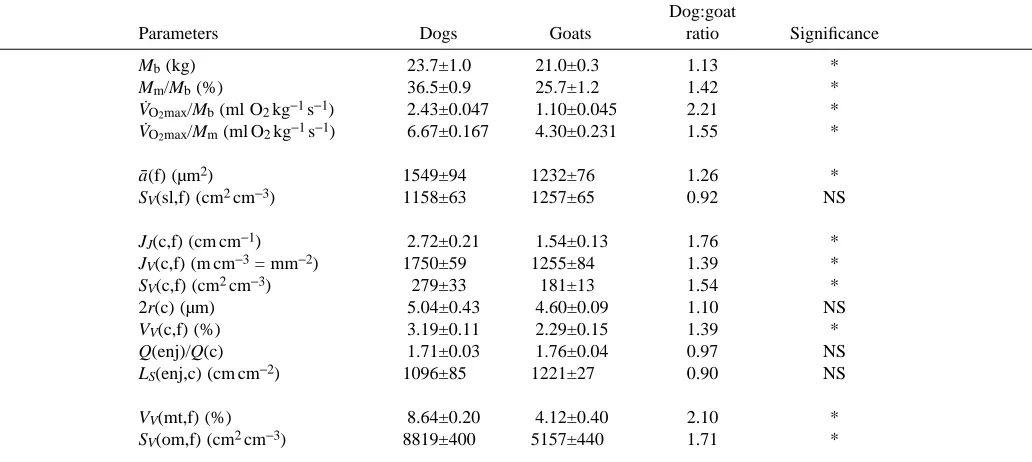 Table 1. Basic physiological and morphometric data of the animals used in this study