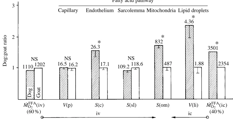 Fig. 4. physiological and morphometric