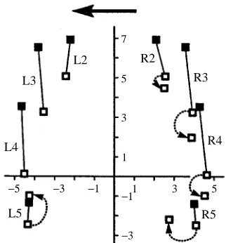Table 1. Differences in the anterior and posterior extremepositions of legs between straight walking and curve walking