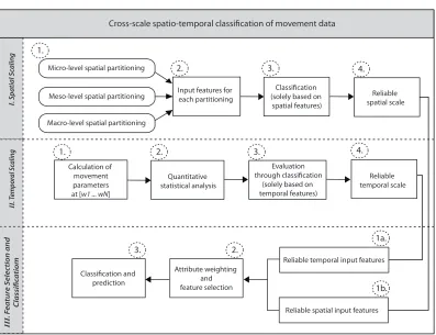 Figure 1: Overview of applied approach for cross-scale analysis of movement data.