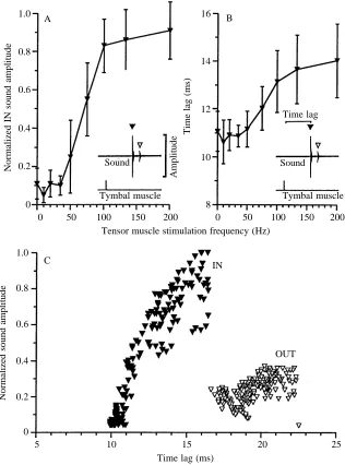 Fig. 4. Electrical stimulation of the tymbalmotoneurone (20Hz) and concomitant electricalfrequencies up to 200 Hz affects sound pulseamplitude and time lag