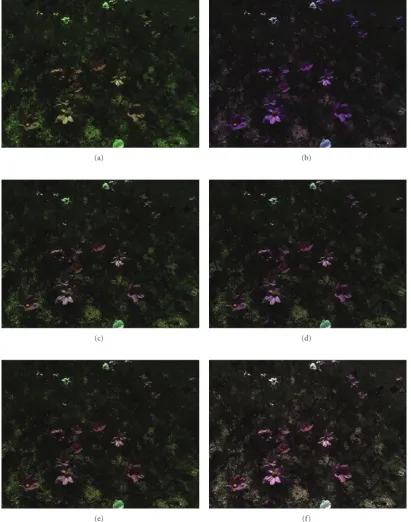 Figure 16: Result of the AWB method: (a) original image, (b) Gray world, (c) Max-RGB, (d) Shades of Gray, (e) Gray Edge, and (f) Proposedmethod.