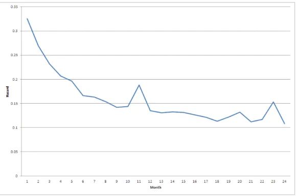 Figure 2-5: Hazard function for left-censored price spells