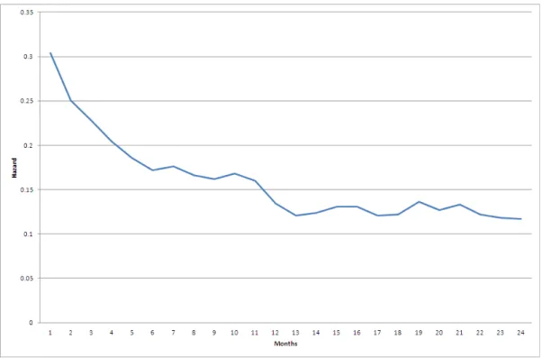 Figure 2-6: Hazard function for right-censored price spells