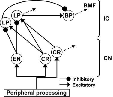 FIG. 3.1: The architecture of the present model. The model is a cascade of three stages: (i) the peripheral processing stages (bottom), (ii) the CN stage that includes an entrainment (EN) unit and a number of constant-rate (CR) units (middle) and (iii) the