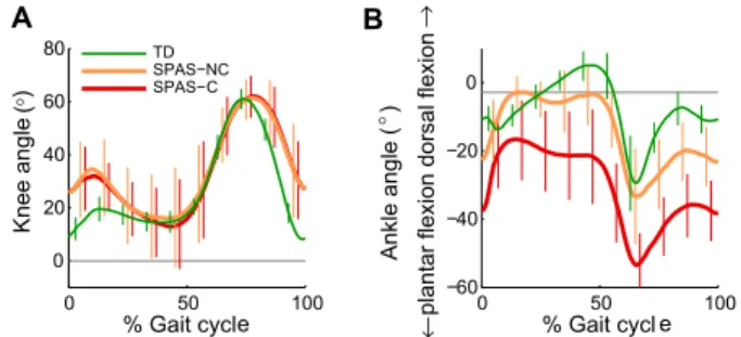 Fig. 2 shows muscle–tendon length for GM and SO muscles as a function of the gait cycle, for all speed conditions
