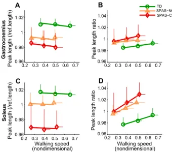 Table 2: B 1 ), and occurred earlier in the gait cycle. As walking speed increased, peak stretch velocity in stance increased (Table 2: B 2 ), equally in all groups (Table 2: B 3 ).