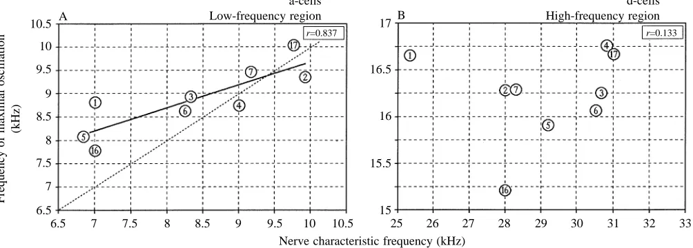 Fig. 5. Relationships between the frequency of maximal tympanal membrane oscillation at the site of the a-cells (A) or the d-cells (B) and thecharacteristic frequency of the male song of 17 acridid species