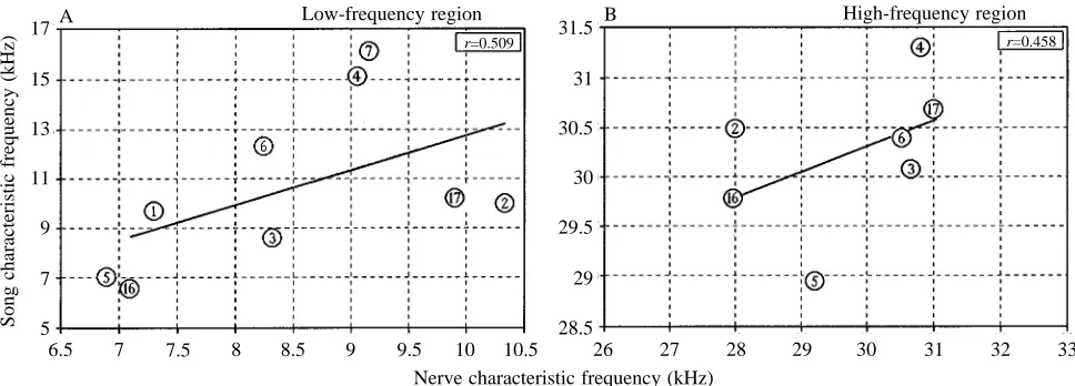 Fig. 7. (A,B) Relationships between the characteristic frequencies of maximal sensitivity of the tympanal nerve in the low-frequency or high-frequency region and the characteristic frequency of the male song in nine acridid species