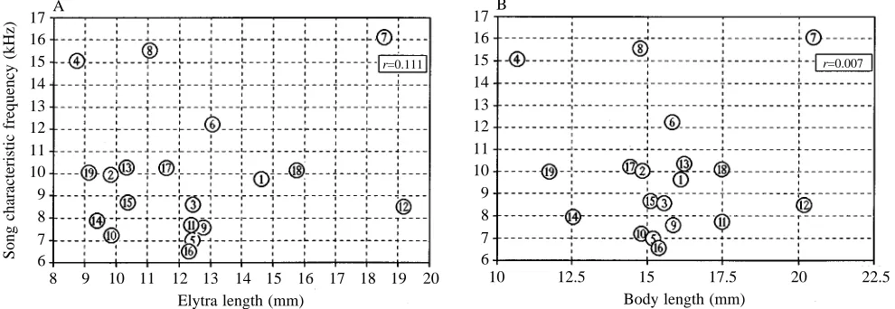 Fig. 2. Relationships between the length of the elytra (A) or that of the body (B) and the characteristic frequency in the low-frequency regionof the songs of the males of 19 acridid species