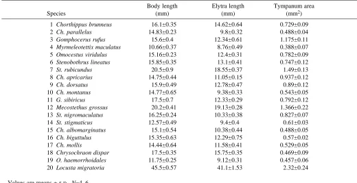 Table 2. Body size, elytra length and tympanal membrane area for males of 20 species of Acrididae
