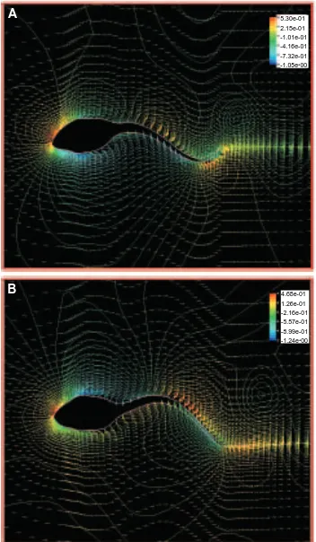 Fig. 6. Views of velocity proﬁles and pressure distributions around a swimming Rana catesbeiana Velocity proﬁles are visualized by vectorial arrows and pressures by iso-pressure contours with a color map representing their arbitrarymagnitudes