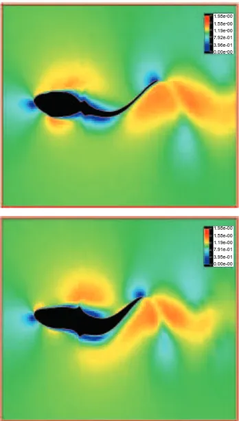Fig. 10. Flow pattern around an undulatingﬁsh-shaped object swimming in a tadpolekinematic mode, but with protruding‘hindlimbs’ (Re=7200)
