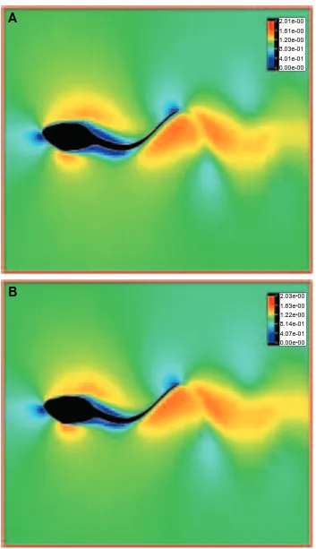 Fig. 11. Flow patterns around three undulatory swimming tadpoles at Reynolds numbers of 2.1�stream patterns are observed in all the three cases