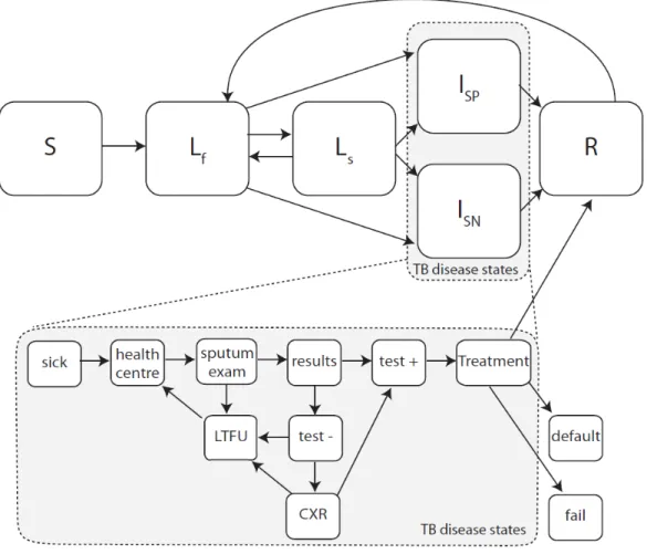 Figure 3: Graphical representation of the compartmental transmission dynamic model. 