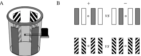 Fig. 1. (A) Plastic bin displaying a panoramic pattern. The positionsof the four striped pattern elements and the feeding tube and box areshown