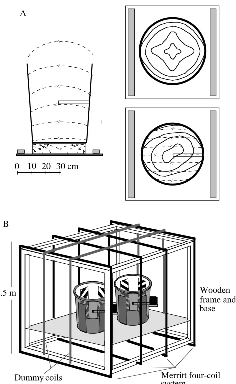 Fig. 2. The two magnetic stimuli used. (A) Two rows of ferritemagnets (shaded) placed one at each end of a square steel base-plategave a ﬁeld direction indicated by the broken lines