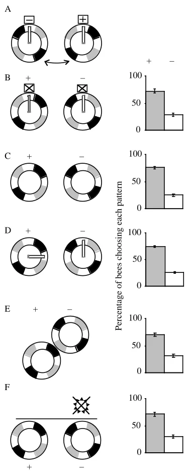 Fig. 3. Plans of the training and testing arrangements for patternlearning experiments, the two bins being represented from above.for scoring methods) averaged over the number of tests indicatedbelow